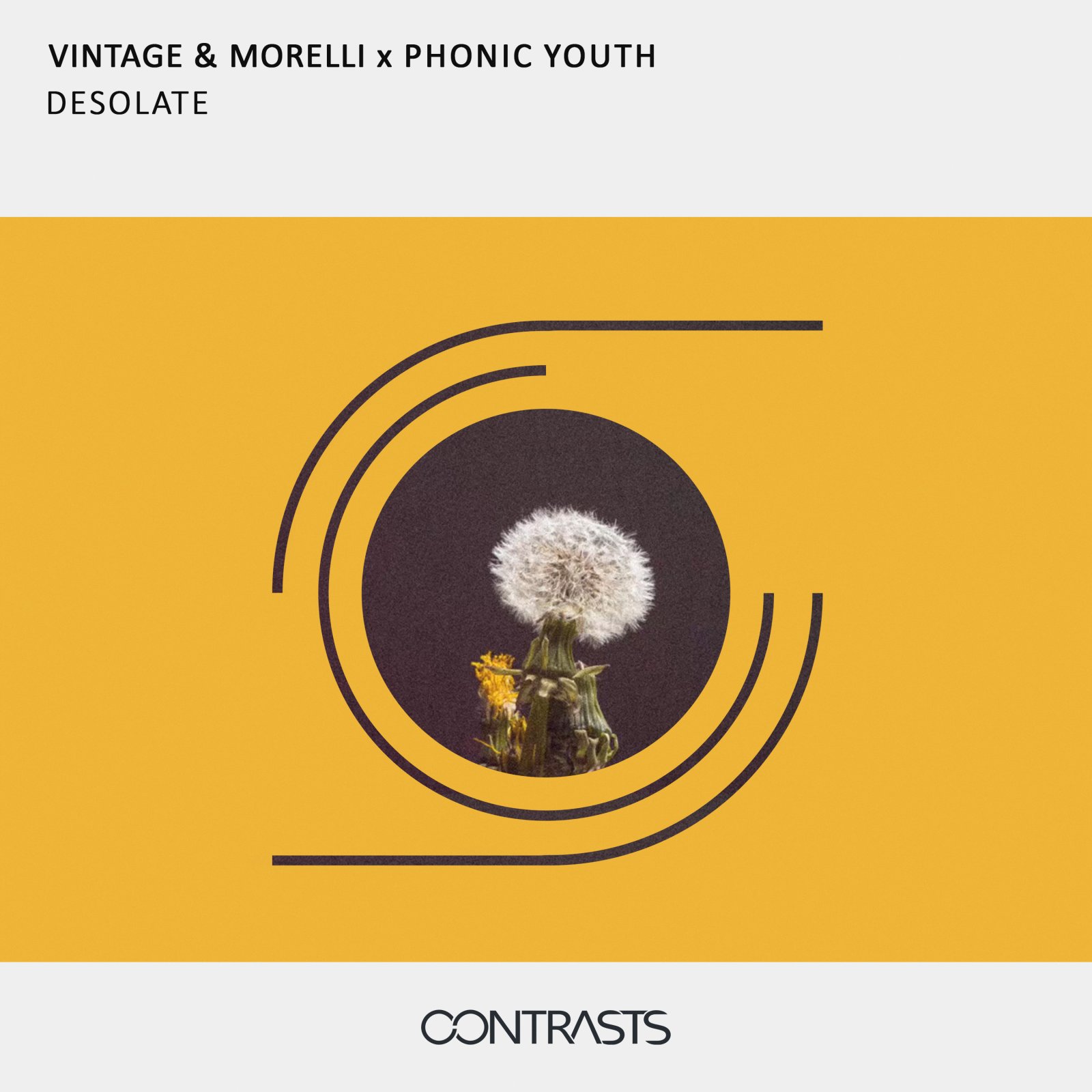 Vintage & Morelli x Phonic Youth – Desolate | CTR019
